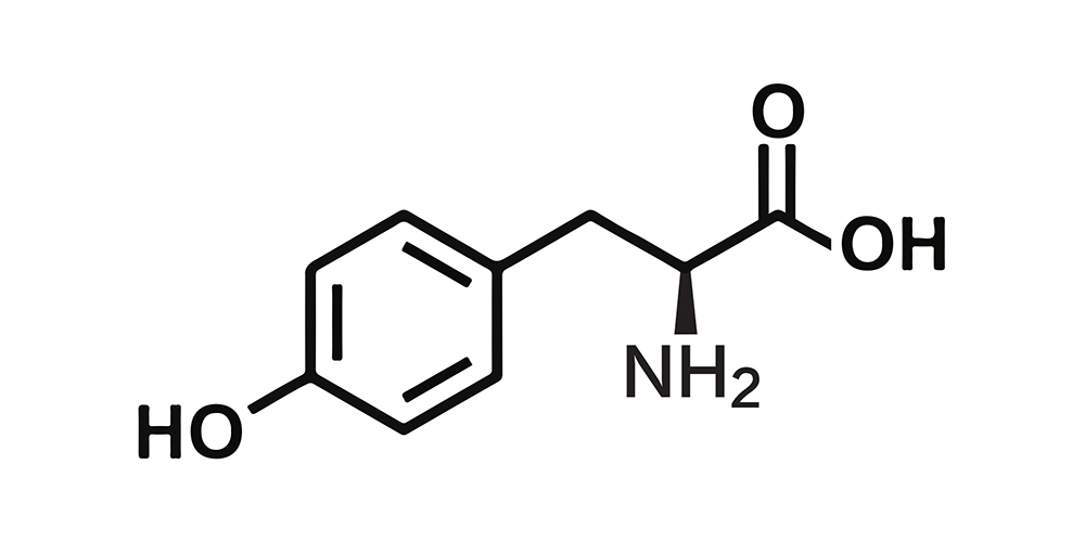 L-TYROSINE