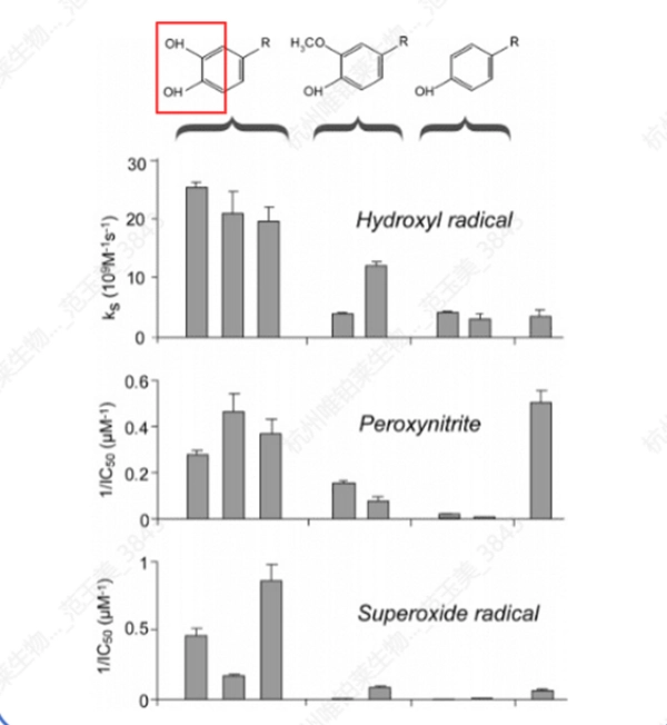 Dual Internal Antioxidant Mechanism