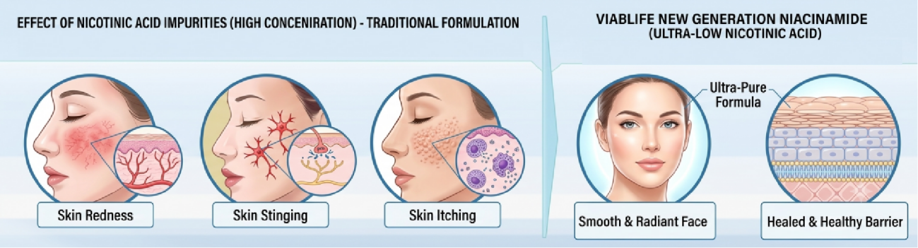 शीर्ष नियासिनमाइड Top Niacinamide
